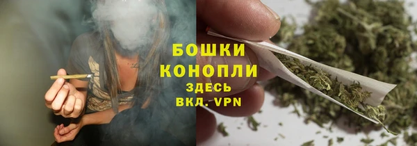 стаф Волоколамск
