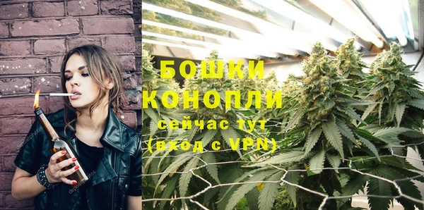 стаф Волоколамск