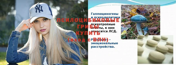 стаф Волоколамск